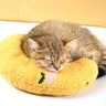 Yellow moon pillow
