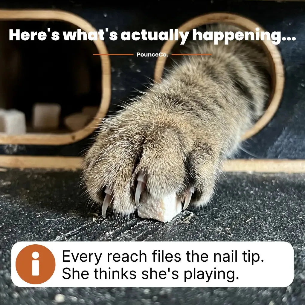 Furniture Protecting Cat Scratch Pad